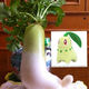 Illustration for article titled Japans Totally Looks Like Meme Is Totally Amusing